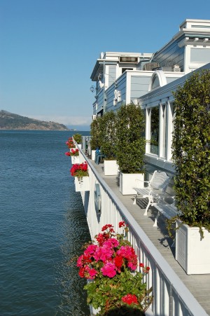 SF 01_00009